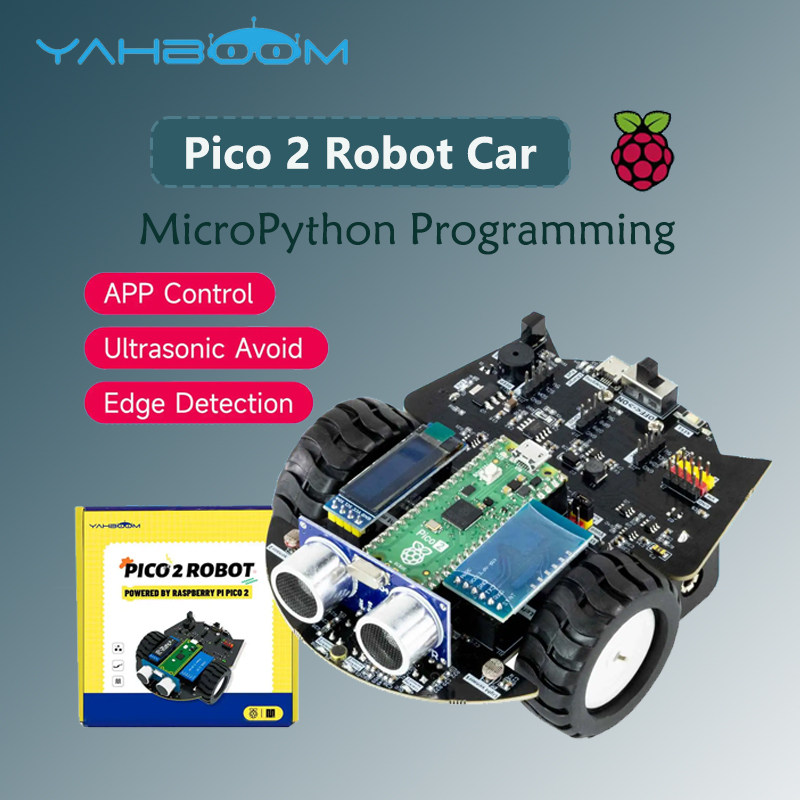 Yahboom Raspberry Pi Pico 2 Ro - Diy Electronics Raspberry Pi reseña y precio
